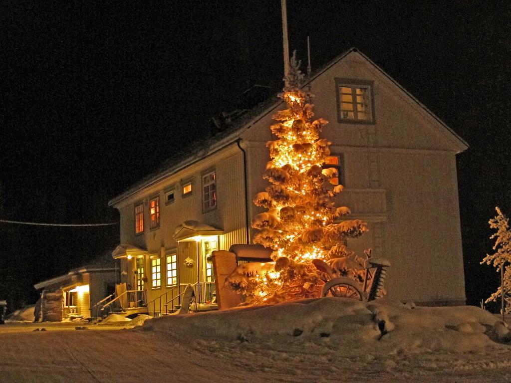 Sollia Lodge Kirkenes Bagian luar foto