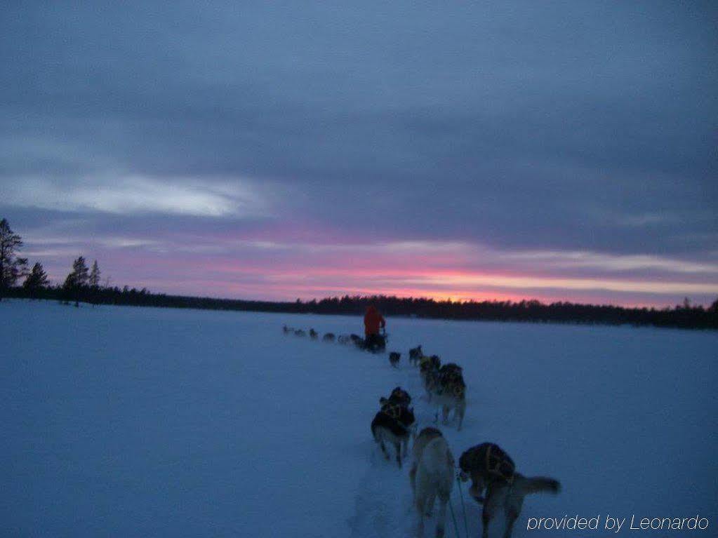 Sollia Lodge Kirkenes Bagian luar foto